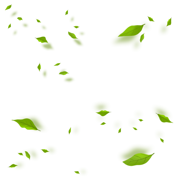 Листочки летают