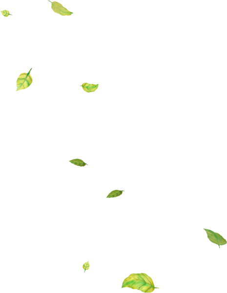 Мелкие листья на прозрачном фоне