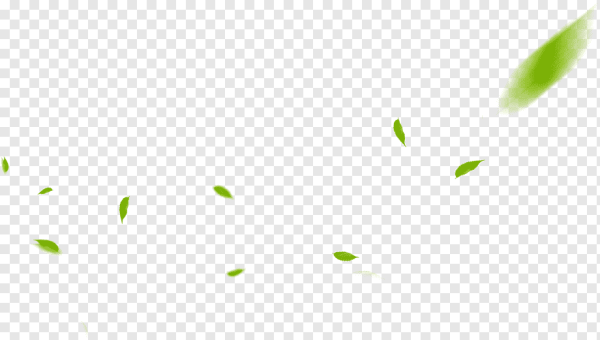 Листья зелёные летают