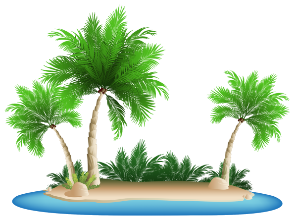 Пальма на белом фоне