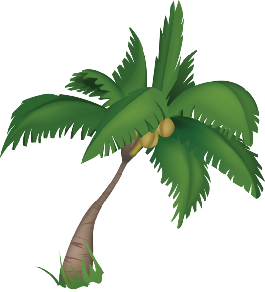 Пальма картинка