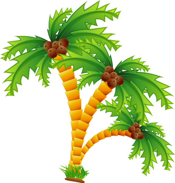 Пальма рисунок
