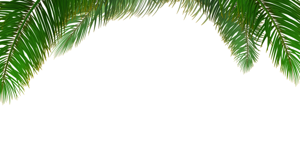 Ветвь пальмы