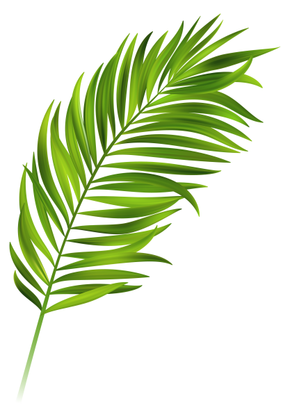 Лист пальмы