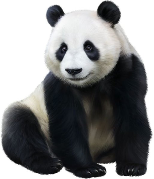 Пандочка без фона