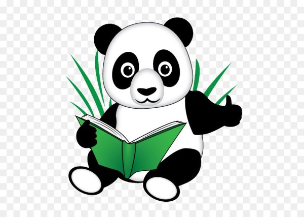 Панда с книжкой