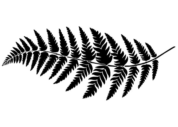 Папоротник Графика