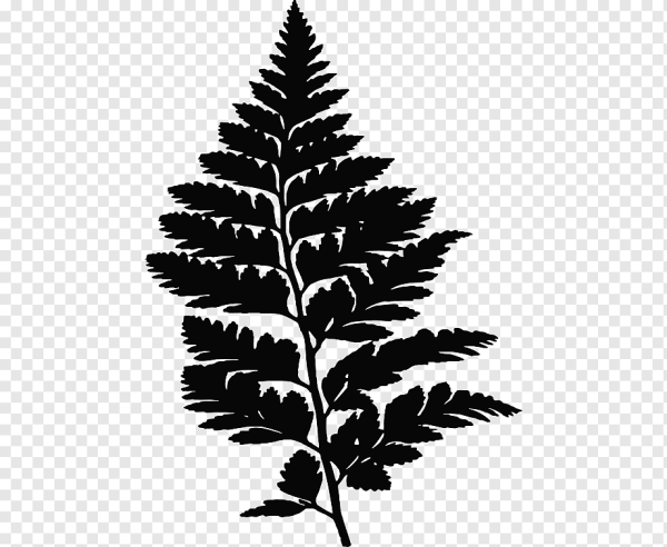 Папоротник веточка СВГ