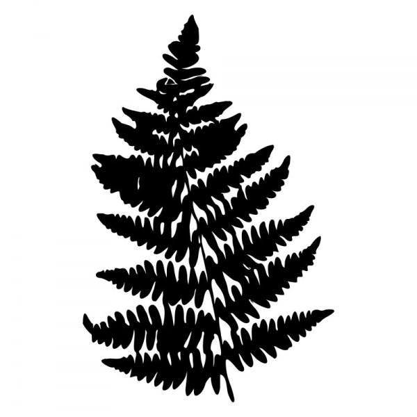 Лист папоротника силуэт