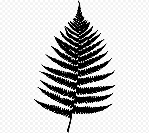 Папоротник вектор