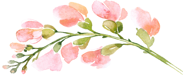 Акварельные цветочные бордюры