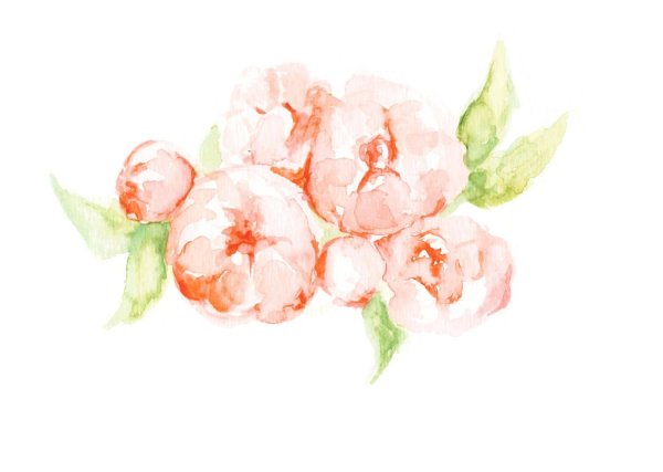 Цветочки акварелью на белом фоне