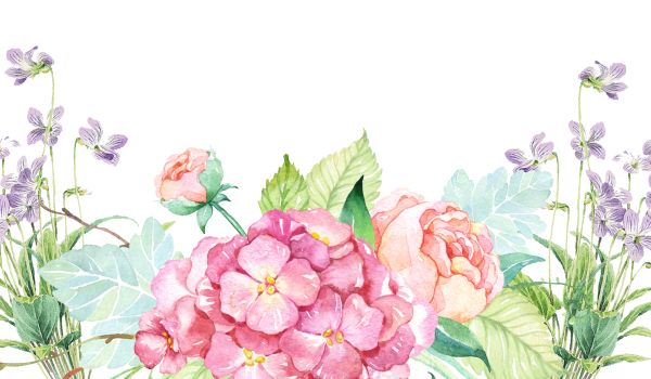 Frdfhtklmyst цветы на прозрачном фоне