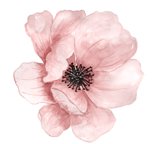 Прозрачные Акварельные цветы