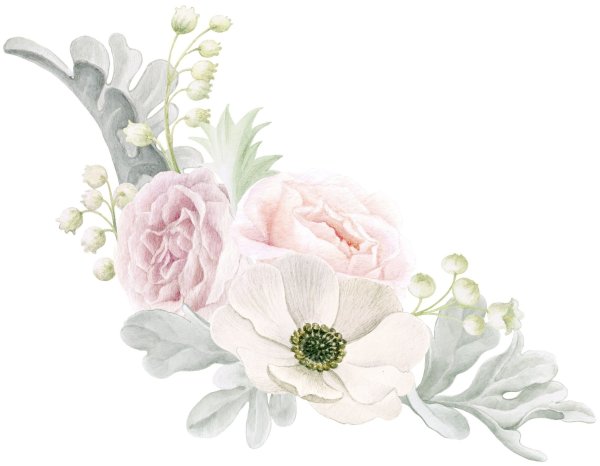 Белые цветы для пригласительных