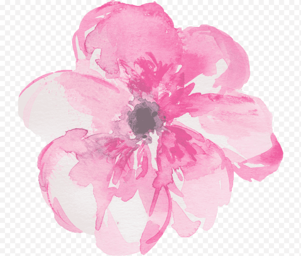 Цветы акварель без фона