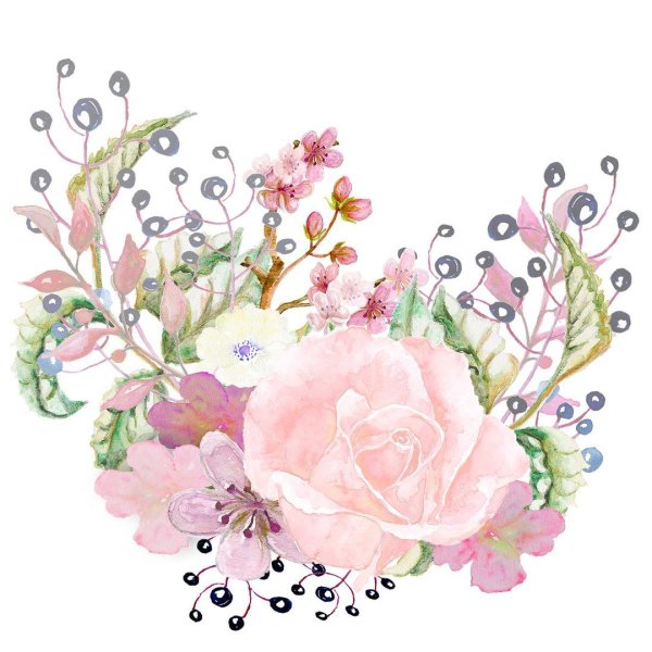 Нежные Акварельные цветы