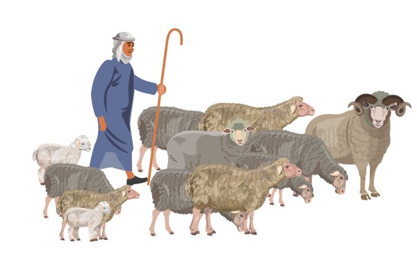 Пастух овец на белом фоне