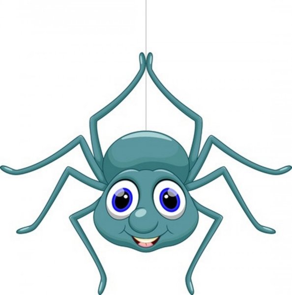 Паучок веселый на прозрачном фоне