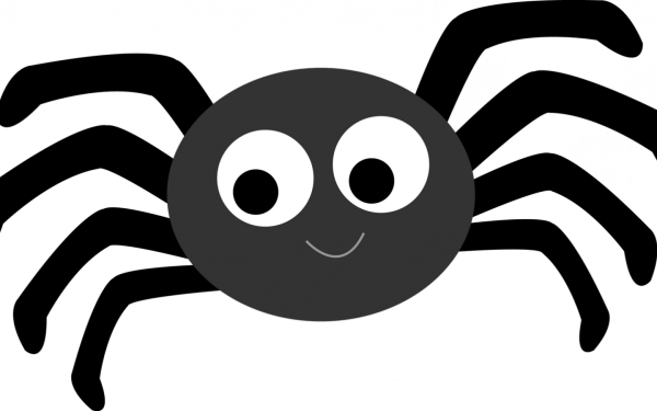 Пауки на Хэллоуин