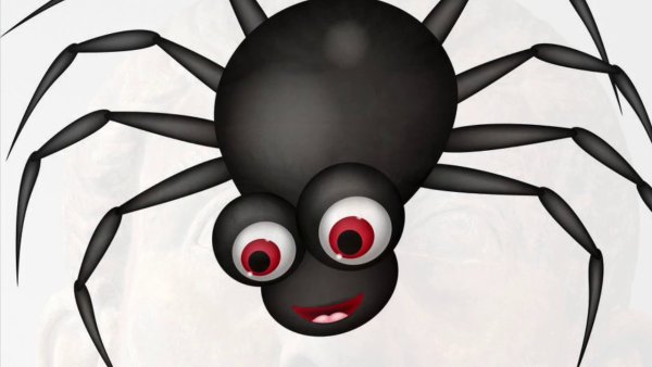 Паук рисунок клипарт