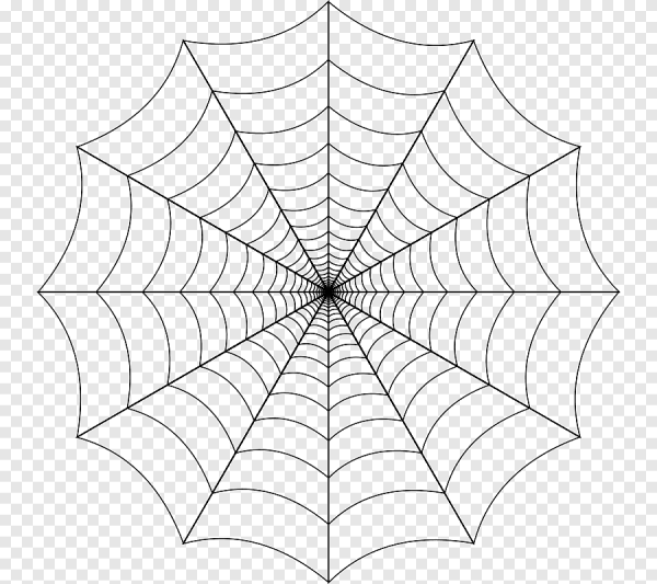 Паутина эскиз