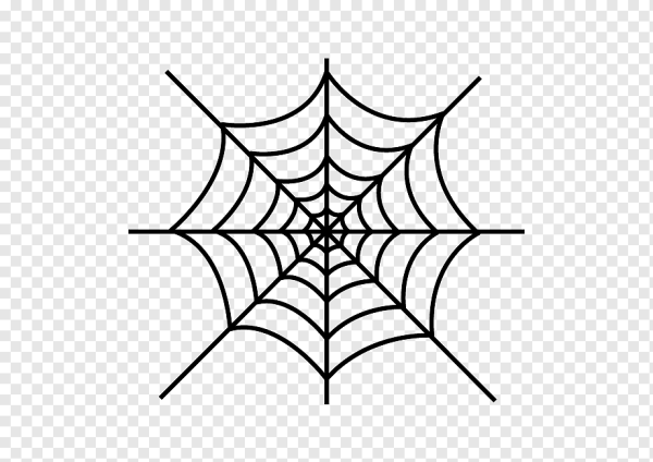 Паутина рисунок