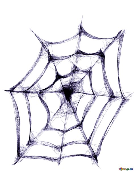 Паутина Графика