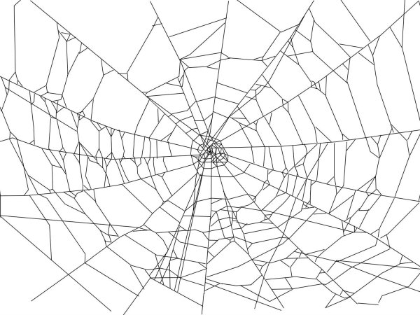 Векторная паутина