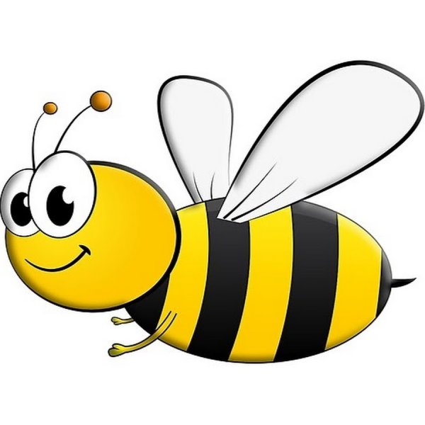 Пчелка на прозрачном фоне