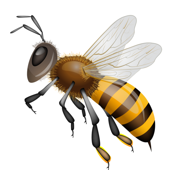 Пчела мультяшная
