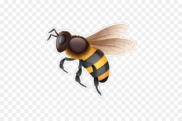 Пчела на белом фоне