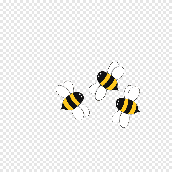 Пчела без фона