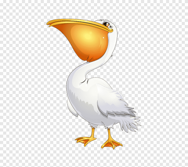 Пеликан мультяшный