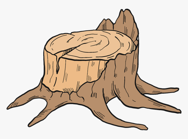 Пень для детей