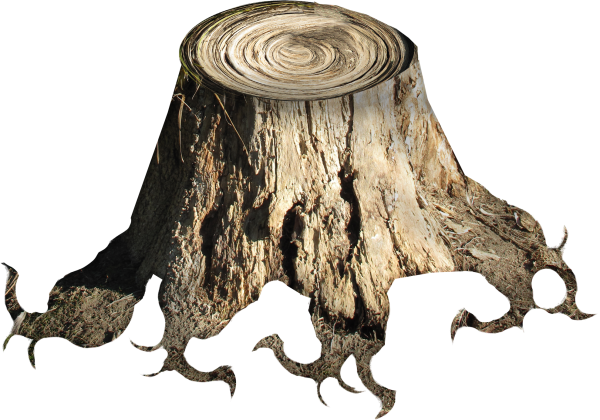 Пеньки на прозрачном фоне