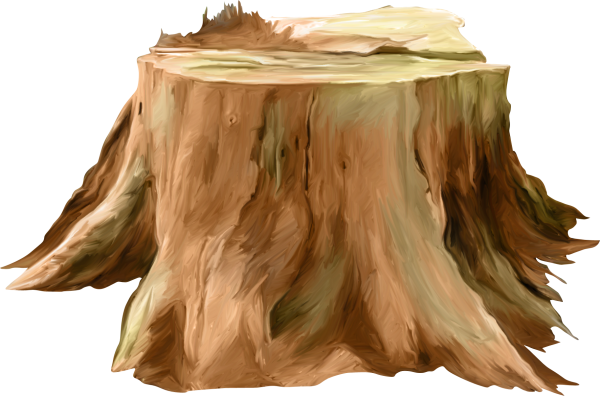 Пень на прозрачном фоне