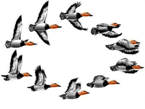 Утки улетают на белом фоне