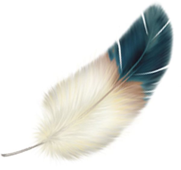 Перо для детей