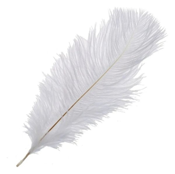 Тик 220см перышки