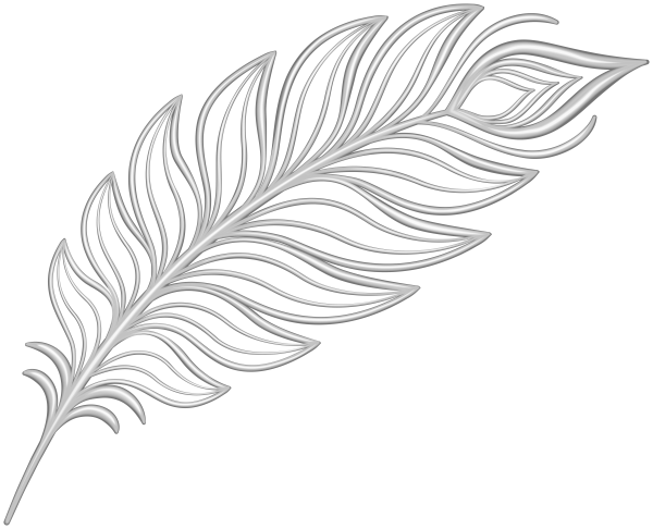 Орнамент перья