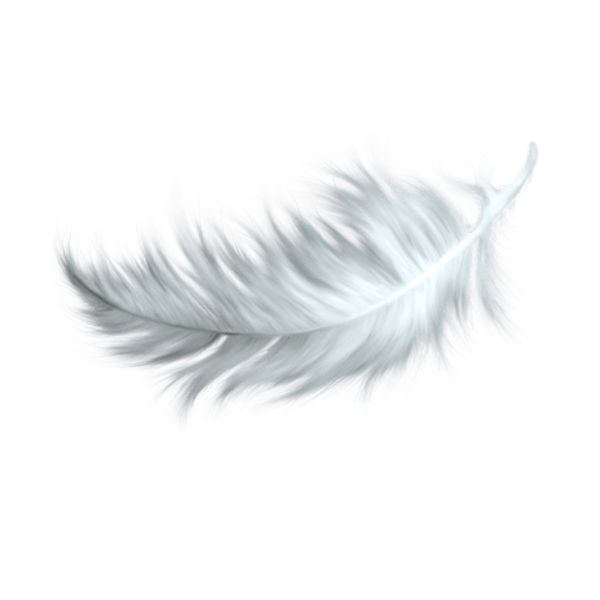 Белое перо на белом фоне