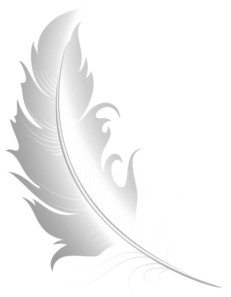 Перышко на белом фоне