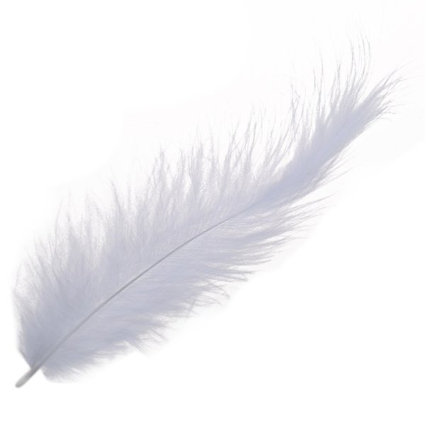 Пушистое перо