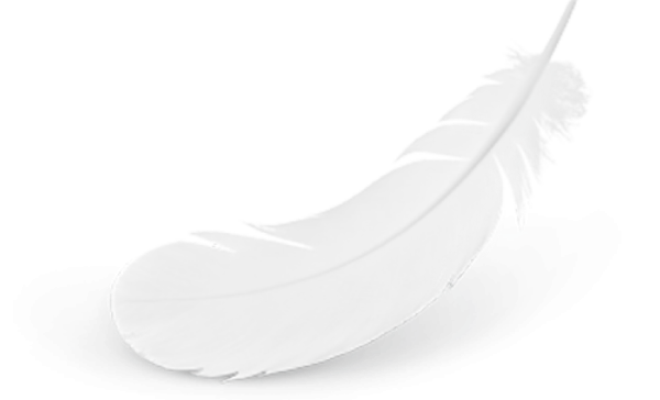 Белое перо на белом фоне