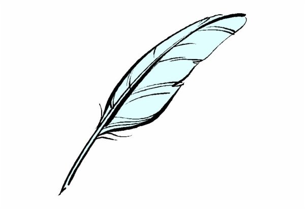 Перо на прозрачном фоне