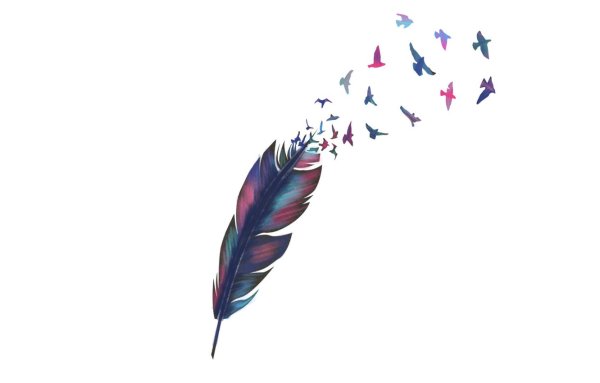 Цветные перья