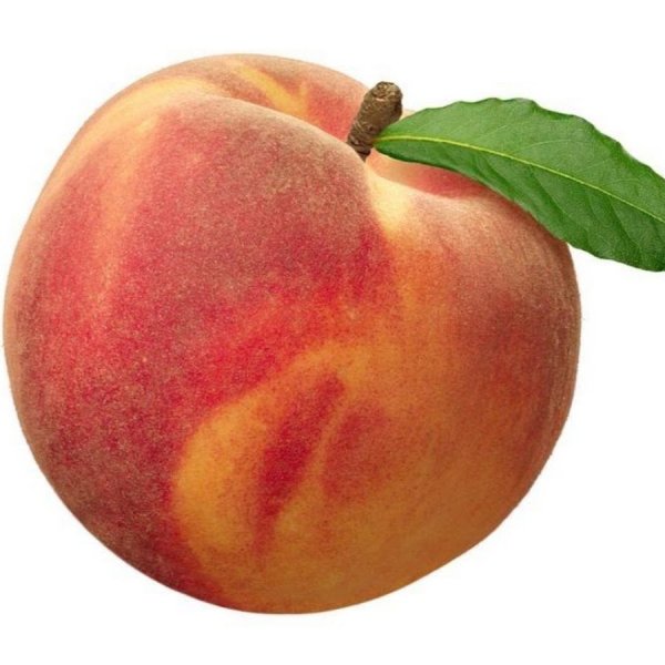 Персик Альберт