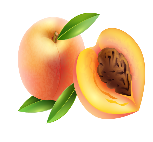 Персик на белом фоне