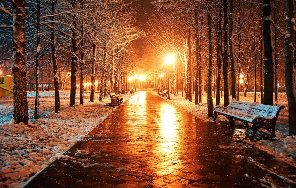Поздняя осень в городе
